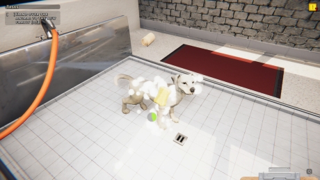 Animal Shelter - Screen zum Spiel Animal Shelter.