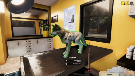 Animal Shelter: Screen zum Spiel Animal Shelter.