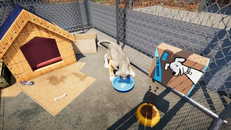 Animal Shelter: Screen zum Spiel Animal Shelter.