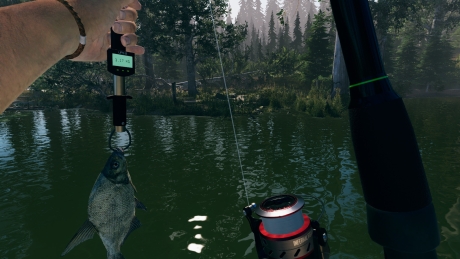 Ultimate Fishing Simulator 2 - Screen zum Spiel Ultimate Fishing Simulator 2.
