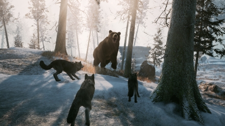 Winter Survival: Screen zum Spiel Winter Survival.