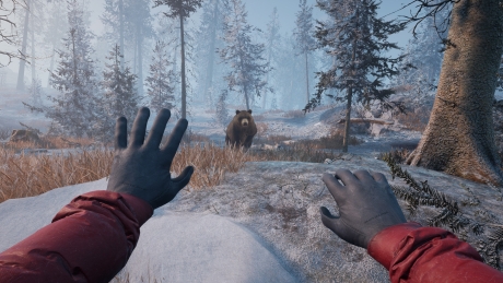 Winter Survival - Screen zum Spiel Winter Survival.