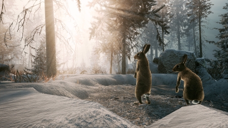 Winter Survival: Screen zum Spiel Winter Survival.