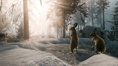 Winter Survival - Screen zum Spiel Winter Survival.