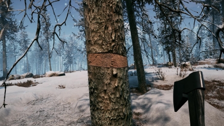 Winter Survival: Screen zum Spiel Winter Survival.