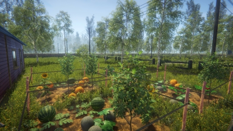 Garten Simulator: Screen zum Spiel Garten Simulator.