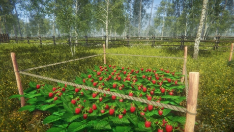 Garten Simulator: Screen zum Spiel Garten Simulator.