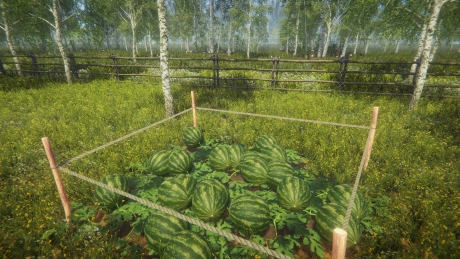 Garten Simulator: Screen zum Spiel Garten Simulator.