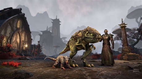 The Elder Scrolls Online: Scribes of Fate - Screen zum DLC The Elder Scrolls Online: Scribes of Fate.