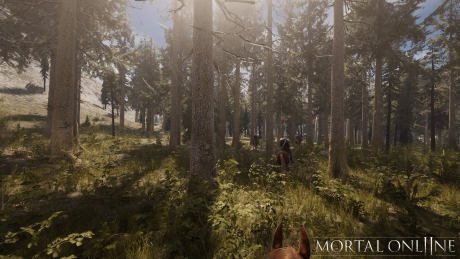 Mortal Online 2: Screen zum Spiel Mortal Online 2.