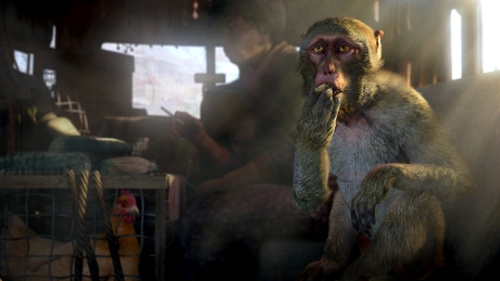 Far Cry 4 Overrun: Screen zum Spiel Far Cry? 4 ? Overrun.