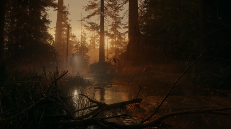 Alan Wake 2 - Screen zum Spiel Alan Wake 2.