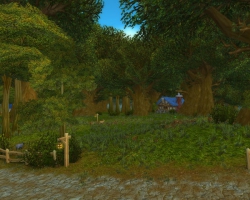 World of Warcraft - Map - Wald von Elwynn
