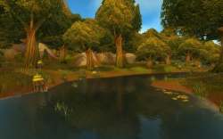 World of Warcraft - Screen zum Gebiet Wald von Elwynn.