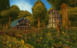 World of Warcraft - Screen zum Gebiet Wald von Elwynn.