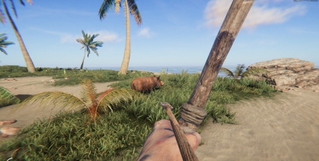 Project Castaway: Screen zum Spiel Project Castaway.