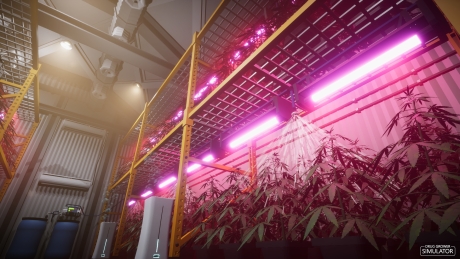 Drug Grower Simulator: Screen zum Spiel Drug Grower Simulator.