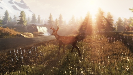 Subsistence - Screen zum Spiel Subsistence.