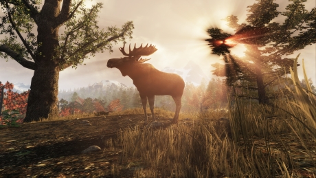 Subsistence: Screen zum Spiel Subsistence.