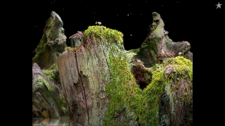 Samorost 1 - Screen zum Spiel Samorost 1.