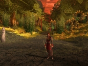 Dungeons & Dragons Online - Screen aus dem MMO Dungeons & Dragons Online.