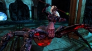 Dungeons & Dragons Online - Neue Screenshot zum MMO