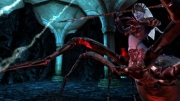 Dungeons & Dragons Online - Neue Screenshot zum MMO