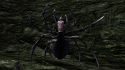 Dungeons & Dragons Online: Neue Screenshot zum MMO