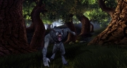 Dungeons & Dragons Online: Neue Screenshot zum MMO