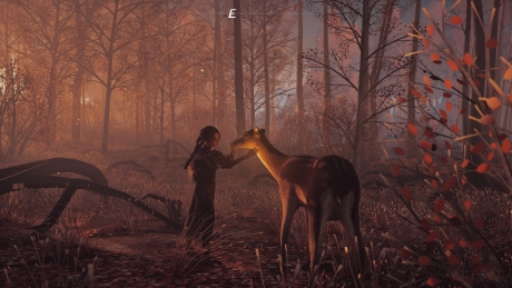  - Screen zum Spiel REKA.