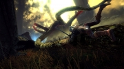 The Witcher 2: Assassins of Kings - Screenshot aus The Witcher 2: Assassins of Kings