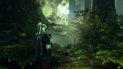 The Witcher 2: Assassins of Kings - Screenshot aus The Witcher 2: Assassins of Kings