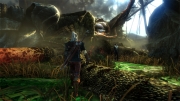 The Witcher 2: Assassins of Kings - Neuer Screen aus dem Rollenspiel