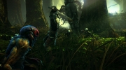 The Witcher 2: Assassins of Kings - Neuer Screen zum zweiten Teil The Witcher 2: Assassins Of Kings.