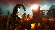 The Witcher 2: Assassins of Kings - Neuer Screen aus einer eindrucksvollen Massenschlacht.