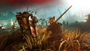 The Witcher 2: Assassins of Kings - Neuer Screen aus einer eindrucksvollen Massenschlacht.