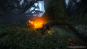 The Witcher 2: Assassins of Kings - Offizieller Ingame Screen.