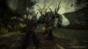 The Witcher 2: Assassins of Kings - Offizieller Ingame Screen.