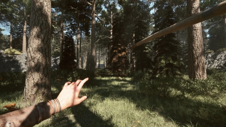 Among the Trolls - Screen zum Spiel Among the Trolls.