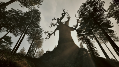 Among the Trolls: Screen zum Spiel Among the Trolls.