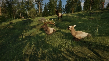 Ranger?s Path: National Park Simulator: Screen zum Spiel Ranger?s Path: National Park Simulator.