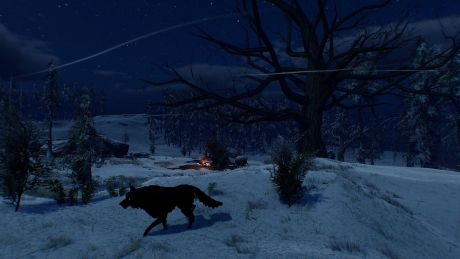 ASKA: Screen zum Spiel ASKA.