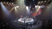 EA Sports MMA - Neuer Screenshot zum Spiel