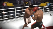 EA Sports MMA: Neuer Screenshot zum Spiel