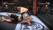 EA Sports MMA - Neuer Screenshot zum Spiel