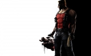 Duke Nukem Forever - Wallpaper vom Duke.