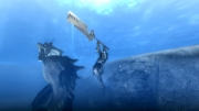 Monster Hunter Tri - Screenshot aus dem Wii-Spiel Monster Hunter 3