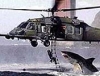 Prisoner Harrier - kam am 05.11.2009 15:51